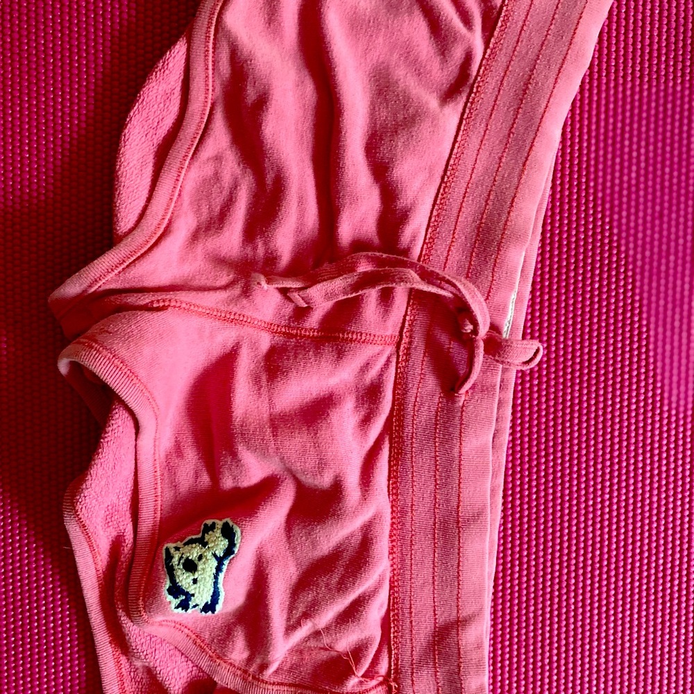 Gilly Hicks Booty Shorts